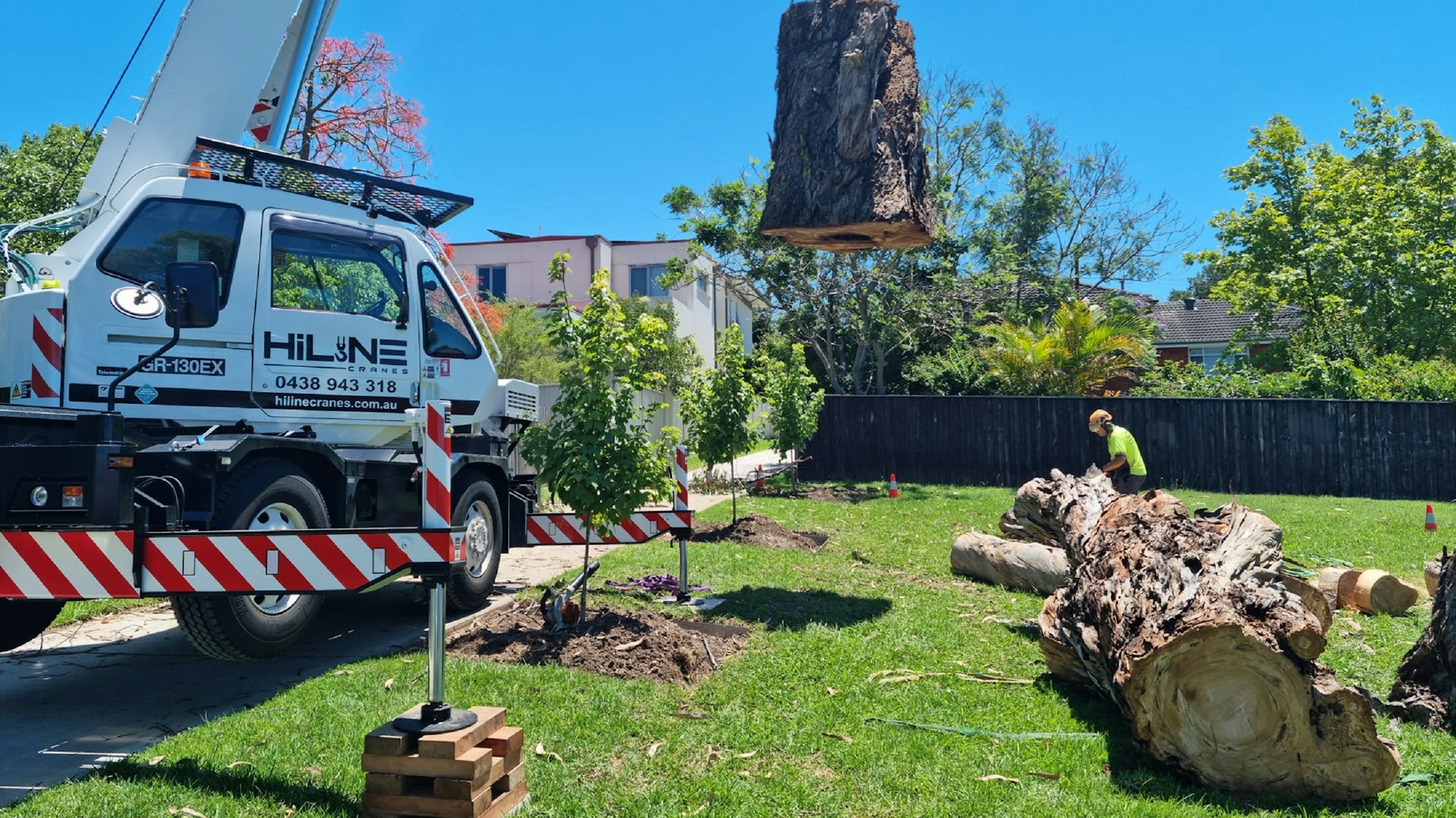 Crew working on tree removal